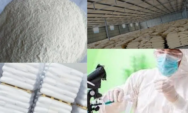 Polyanionic Cellulose Çeşitleri Nelerdir?