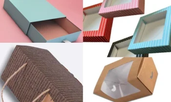 Custom Printed Boxes’ın Çevresel Sürdürülebilirliği Nasıl Sağlanır?