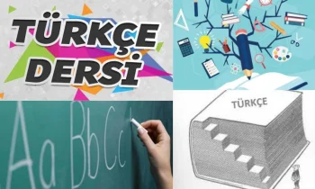 4. Sınıf Türkçe Ders Kitabı Cevapları: Okuma Anlama Etkinlikleri